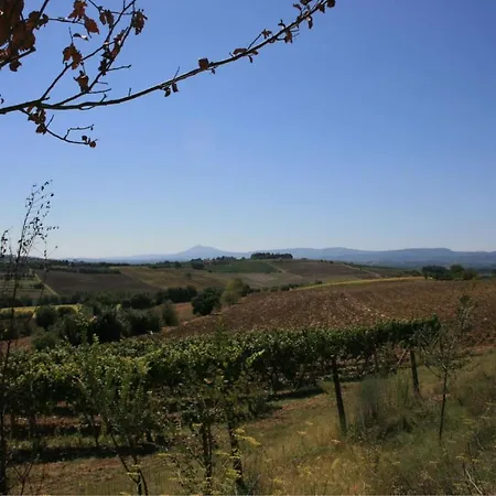 Chianacce Sleeps 4 Pool * Cortona